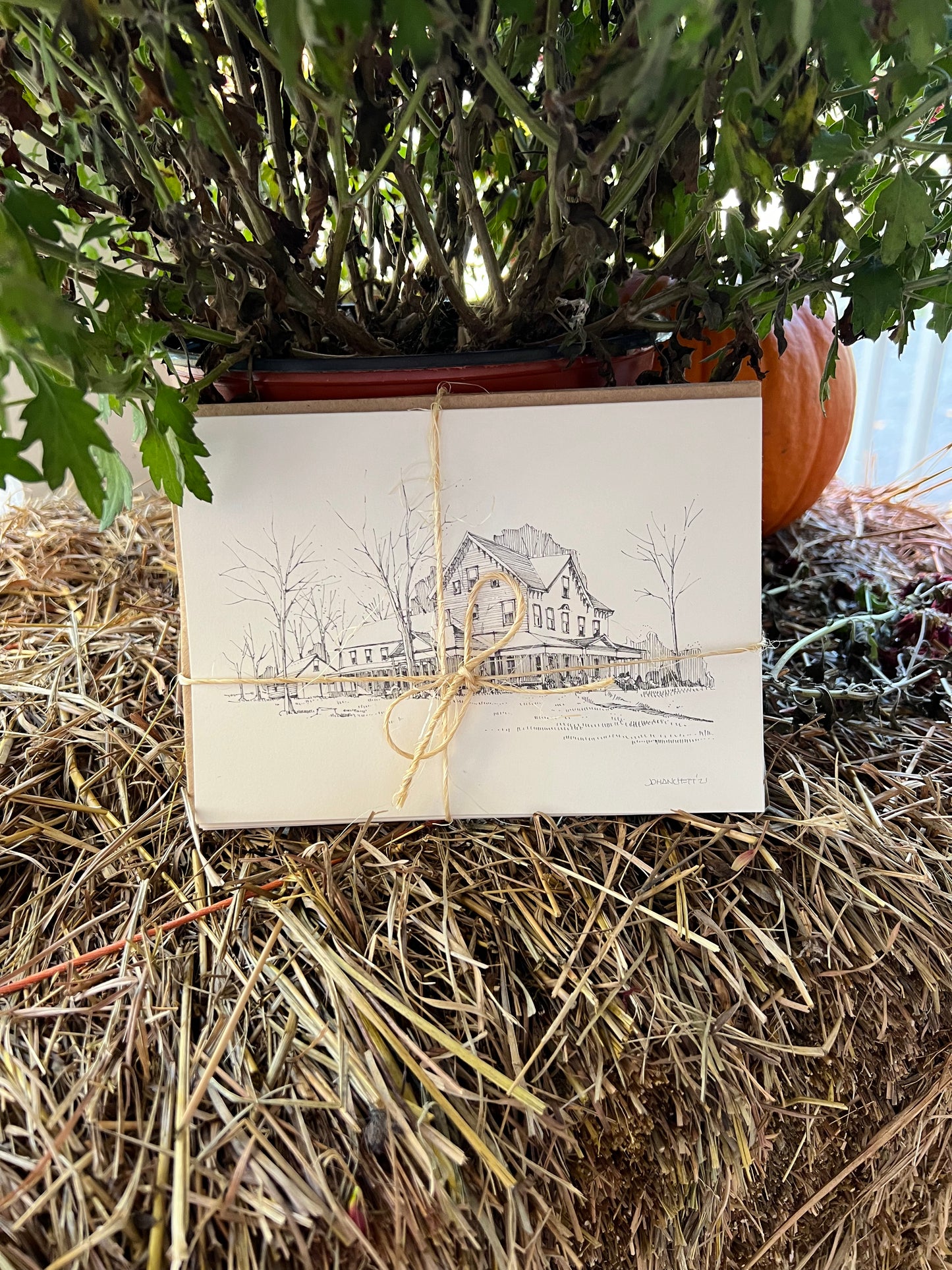 Hand Drawn Blank Cards (Liebenzell Buildings)